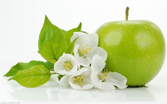 زاوية  الصحة النفسية والجسدية